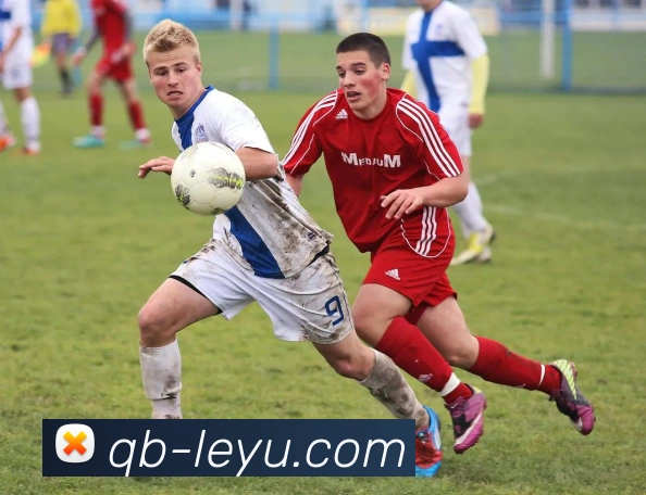 乐鱼体育APP 封面图